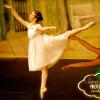 Mass Ballet Nutcracker 2011 (continued)