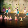 Mass Ballet Nutcracker 2011 (continued)
